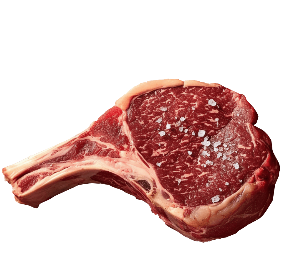 beef-steak